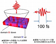 左：磁性体への超短パルス光照射モデル・イメージ図　右：超短パルス光イメージ図約100fsの間のみ光が存在