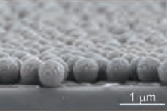 理工学部学術賞受賞研究