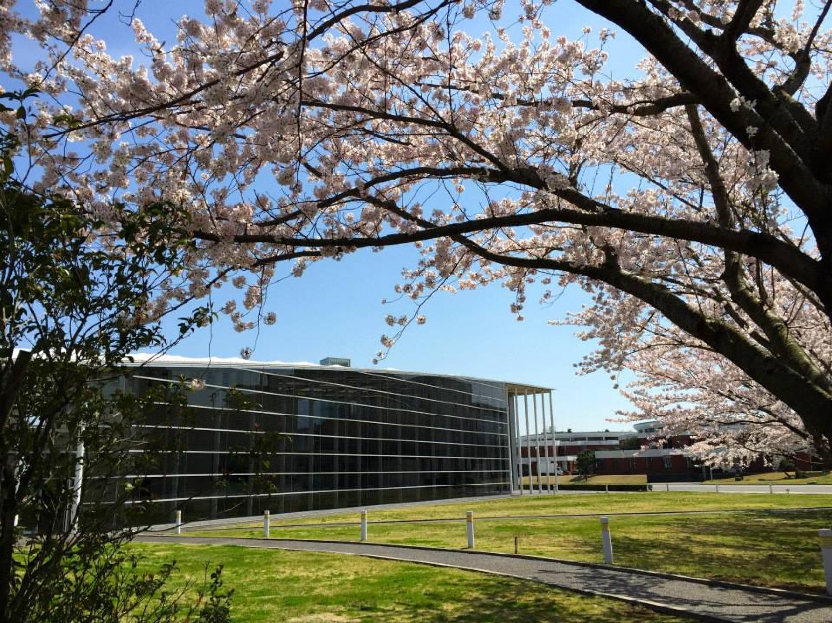 日本大学理工学部に合格された皆様へ