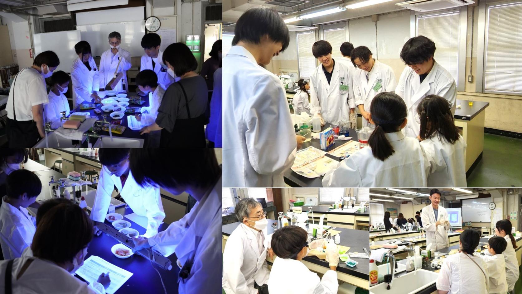 【開催報告】楽しい夏のオープンラボ（小学生対象）