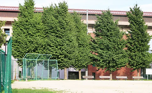 ソフトボール場