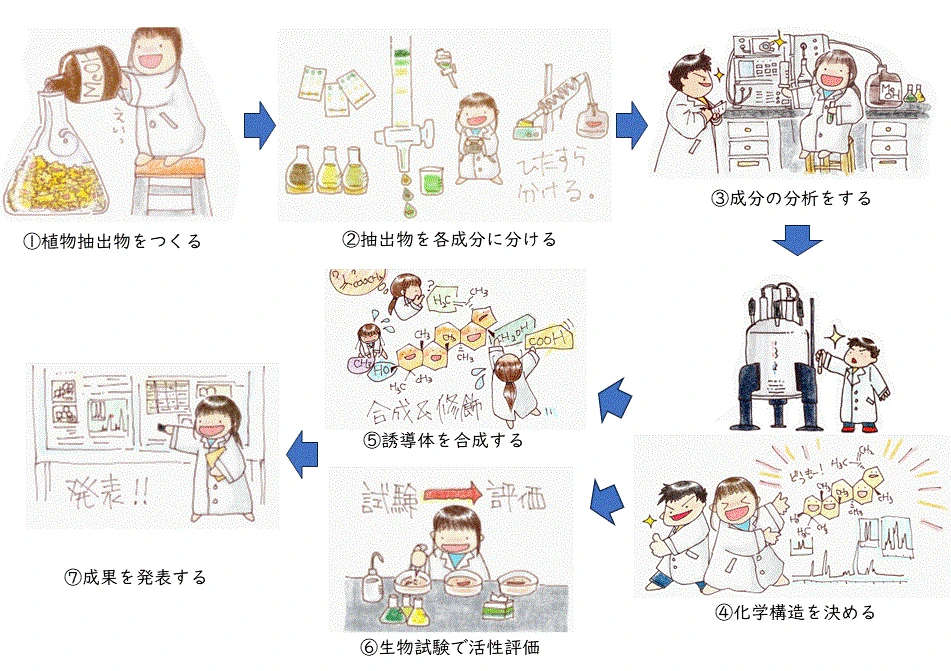 植物の成分を研究する方法