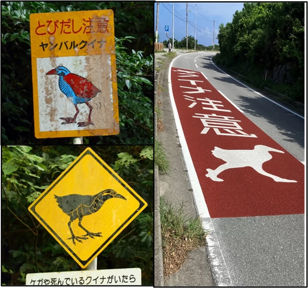 ロードキル対策