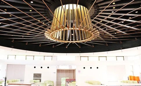 ファラディホール