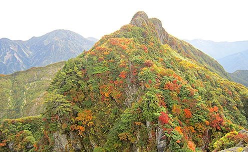 八海山 秋の紅葉