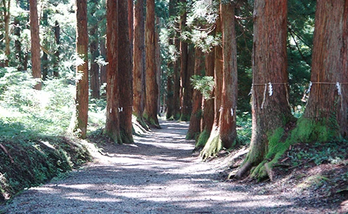 八海神社 参道