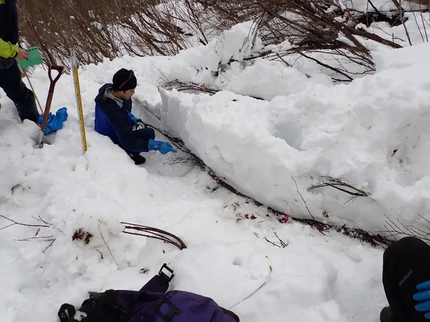 調査している風景