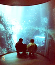 イギリス
「Kingston upon hull
The Deep 水族館」