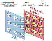 パターン認識を行うニューラルネットワーク