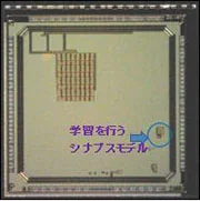 学習を行うシナプスモデルのICチップ