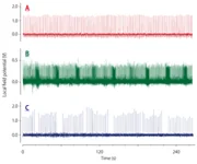 その活動パターン