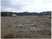 津波による被害