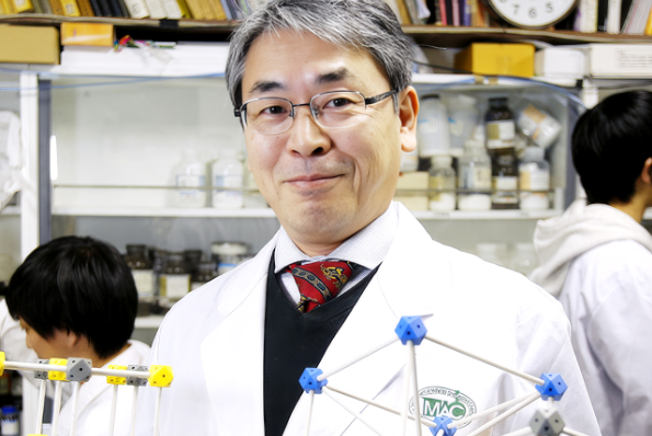 小嶋 芳行 教授／博士(工学）