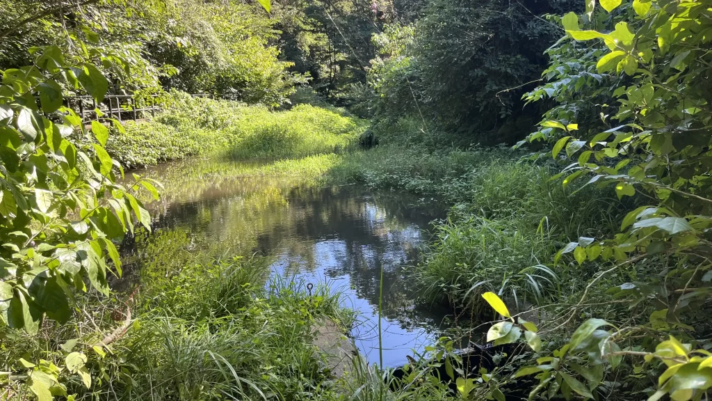 道路開発で造成された代替池の例（横浜横須賀道路 釜利谷JCT）
